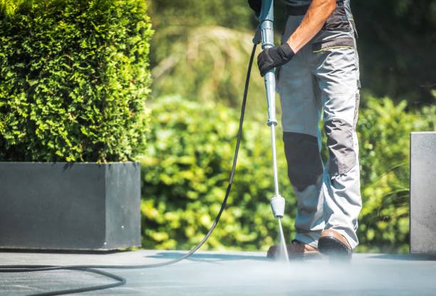 Best Dumpster Area Cleaning  in Brockton, MA